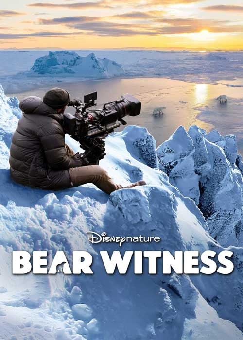 ดูหนังสารคดี Bear Witness (2022) มาสเตอร์ ไม่กระตุก